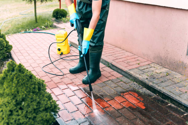 Best Animal Enclosure Cleaning  in Seaville, NJ